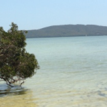 Salt water lake Australia